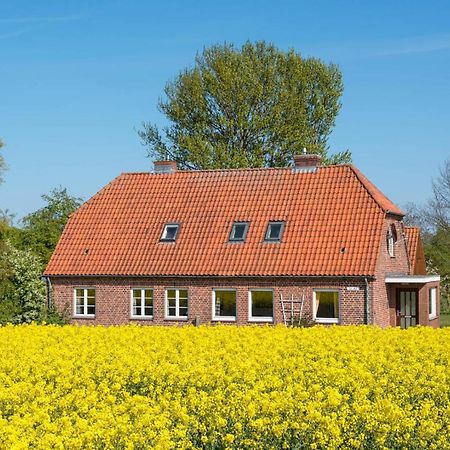 Ferienwohnung Am Hut Neukirchen  Exterior foto