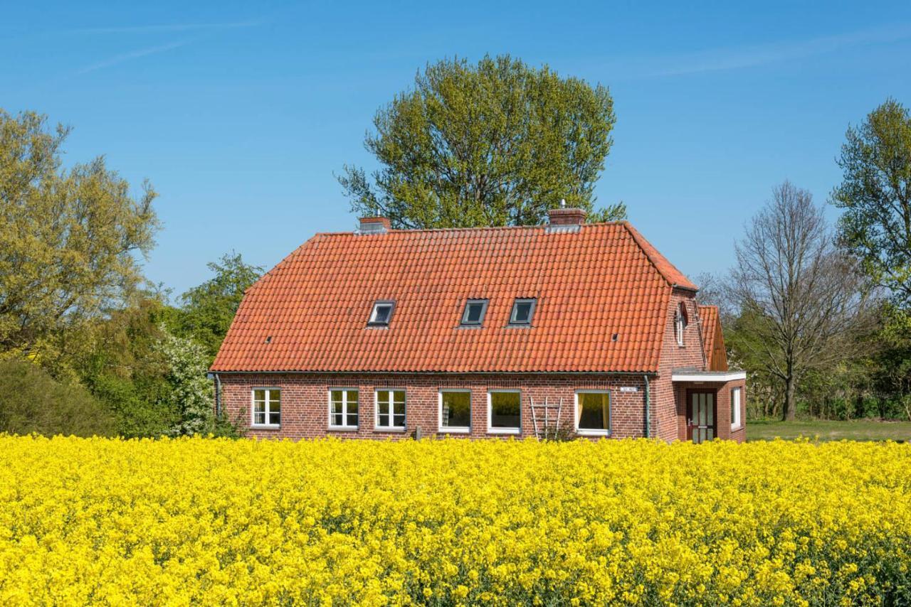 Ferienwohnung Am Hut Neukirchen  Exterior foto