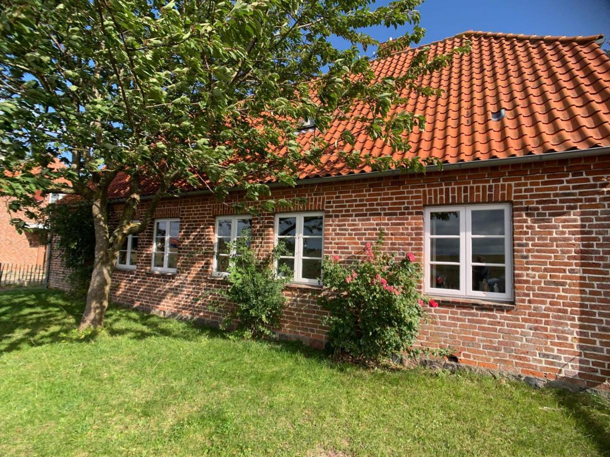 Ferienwohnung Am Hut Neukirchen  Exterior foto