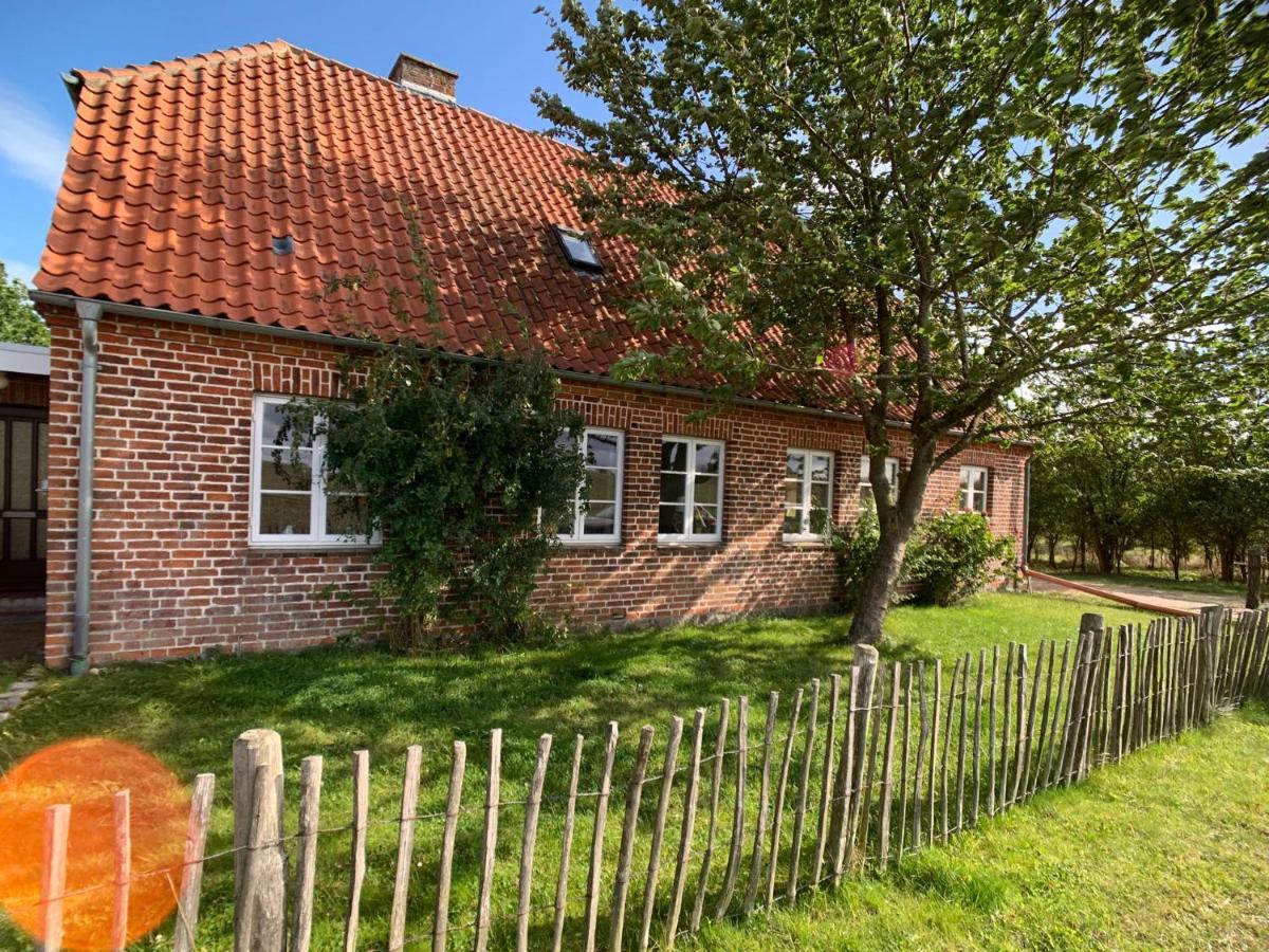 Ferienwohnung Am Hut Neukirchen  Exterior foto